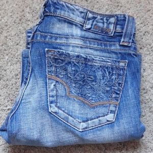 Big Star Jean's casey boot cut